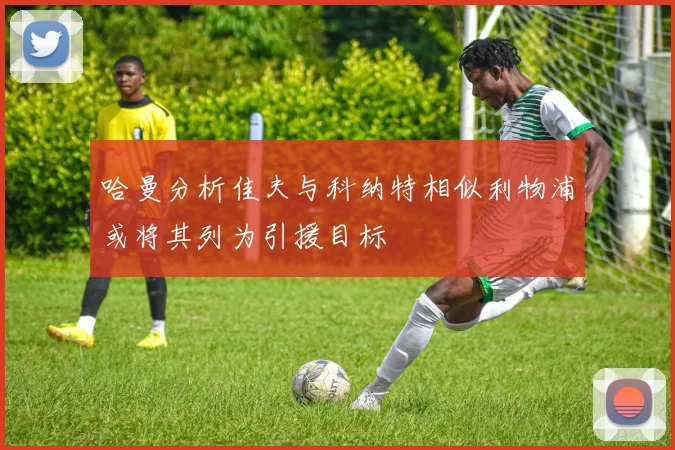 哈曼分析佳夫与科纳特相似利物浦或将其列为引援目标