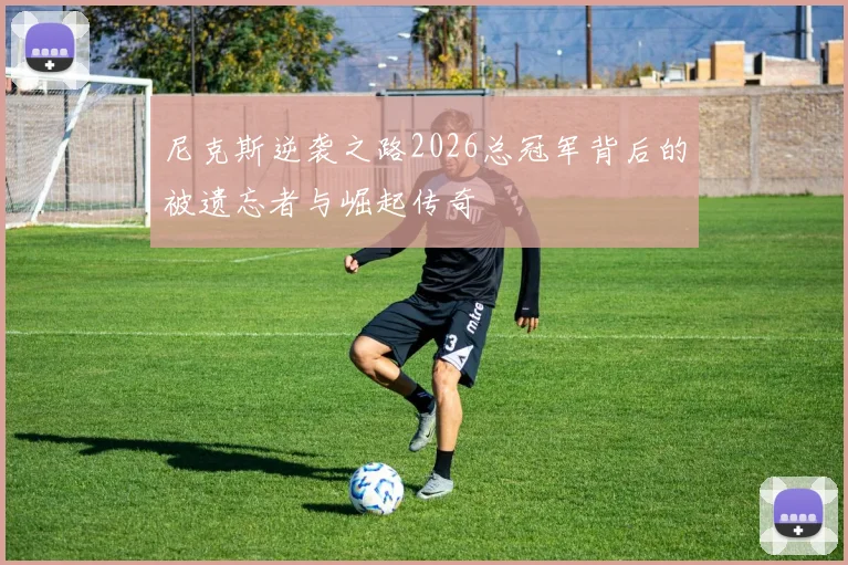 尼克斯逆袭之路2026总冠军背后的被遗忘者与崛起传奇